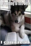 dog can't read
