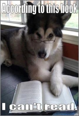 dog can't read