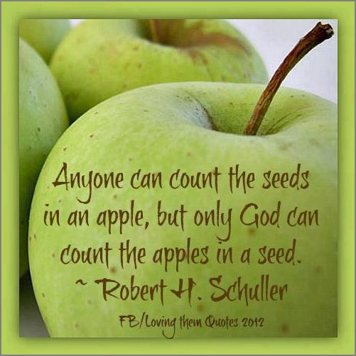 hap mon, apple seeds