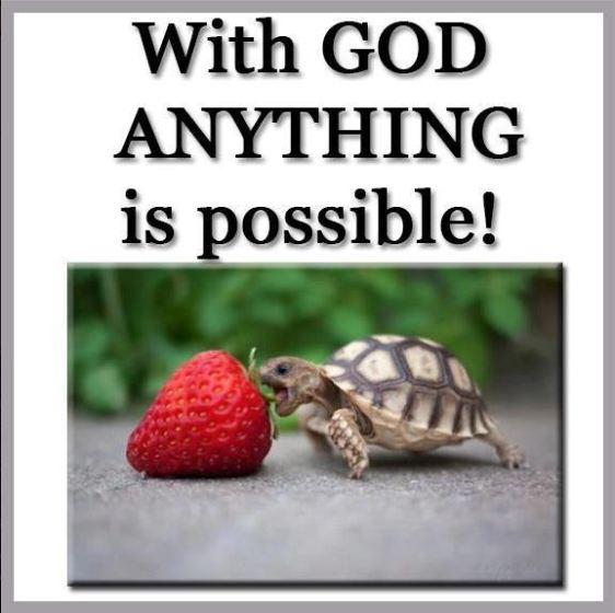 hap mon, all things possible