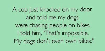 hap mon, dogs on bikes