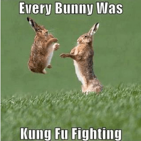 every bunny