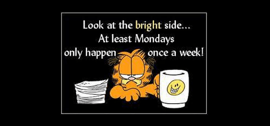 Garfield on Mondays