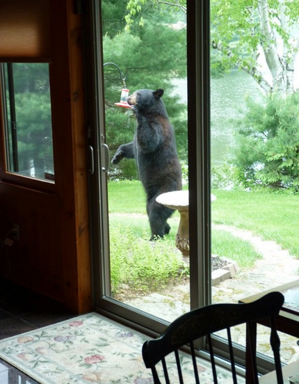 Screenshot 2013-05-31 at 11.40.35 AM