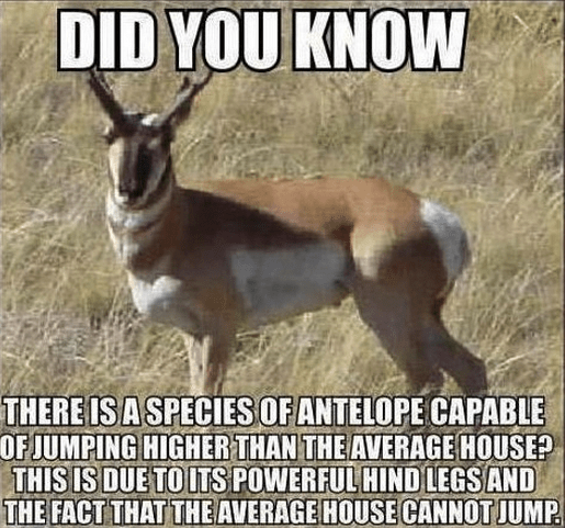 Screenshot 2013-06-01 at 9.46.05 AM