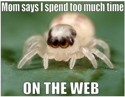 on the web