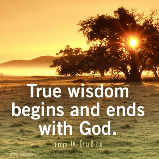 wisdom