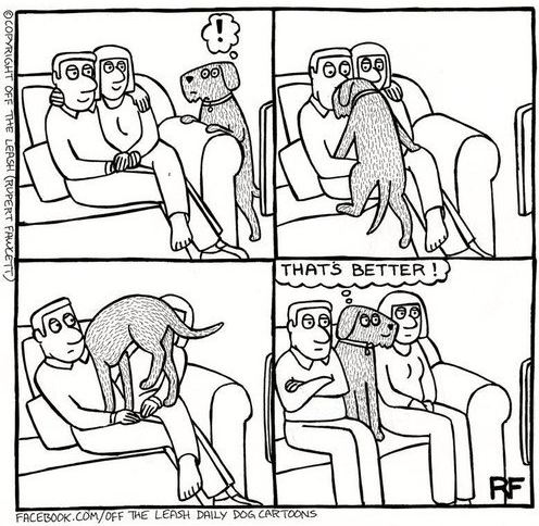 dog in the middle