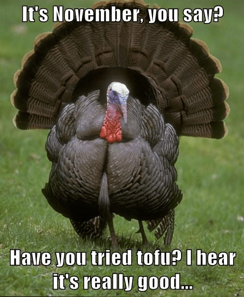 November turkey