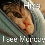 Hide, Monday