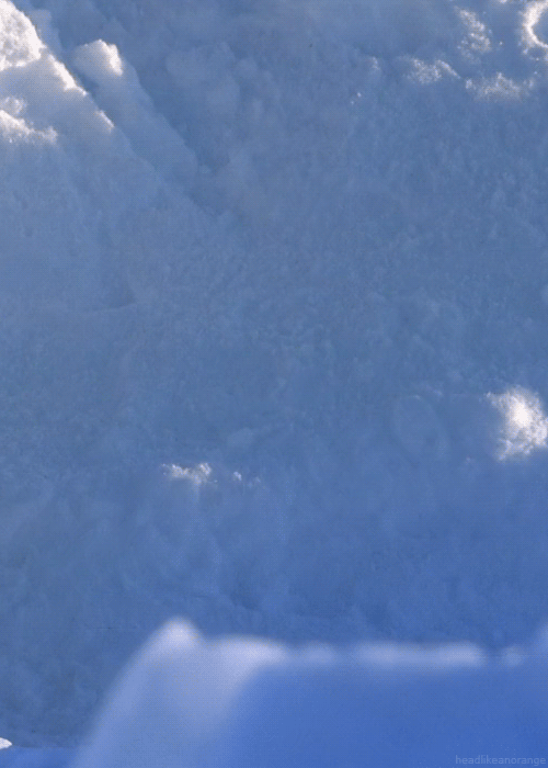 this way to Happy Monday