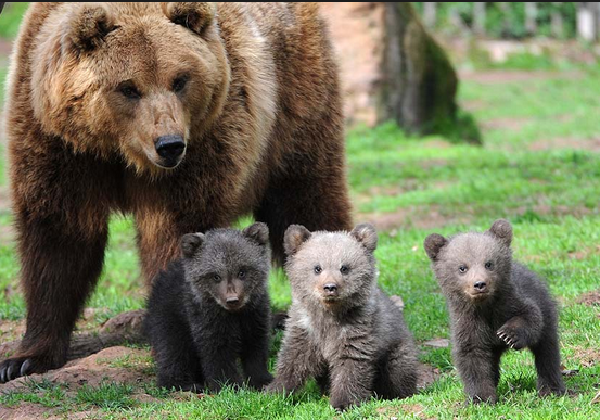 Screenshot 2014-01-13 at 9.31.43 PM