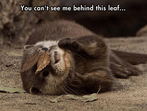 leaf otter