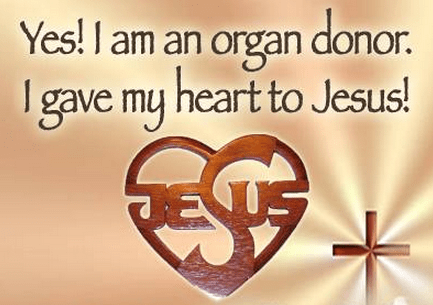 organ donor