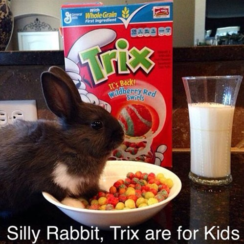 silly rabbit
