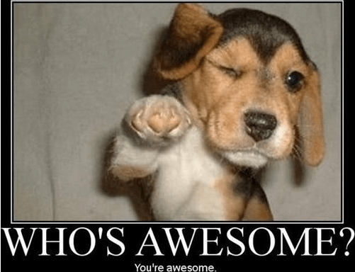 you're awesome