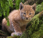 Screenshot 2014-03-19 at 10.35.12 AM