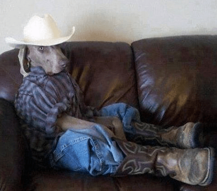 get a long little doggie