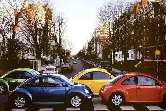 Beetles on Abby Road