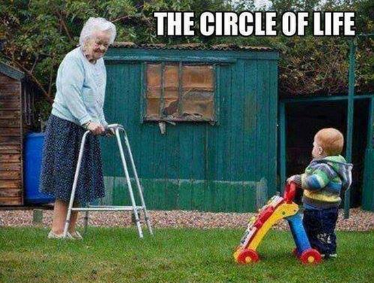 circle of life