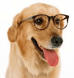 Screenshot 2014-05-11 at 8.26.23 PM