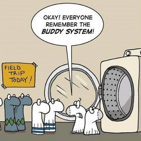buddy system