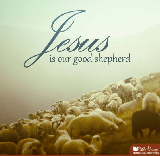 good shepherd