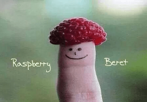 rasberry beret