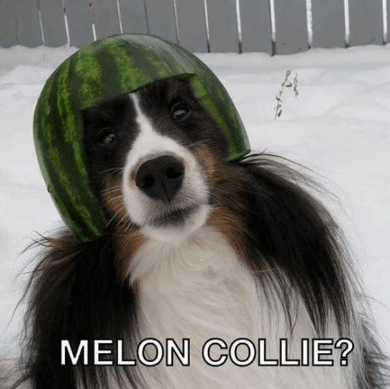 Screenshot 2014-07-27 at 8.33.48 AM