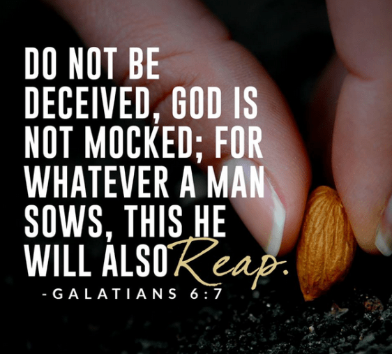 sow and reap