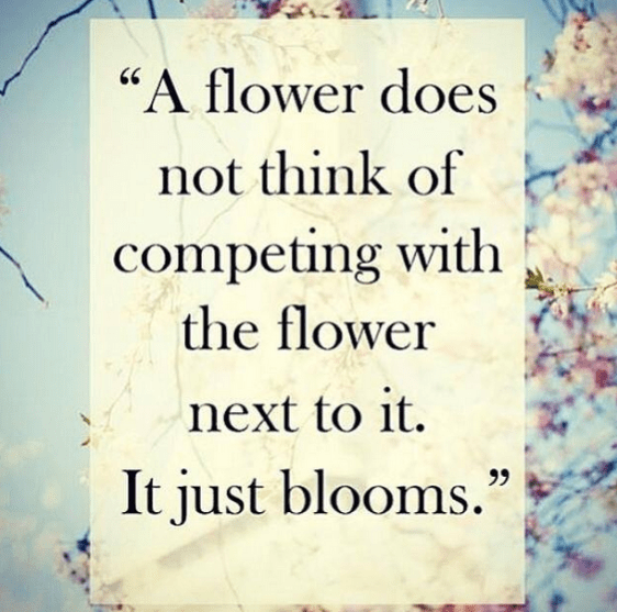 here comes the bloom