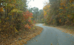 fall colors drive 