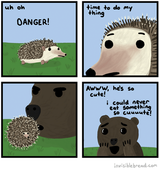what hedgehogs do