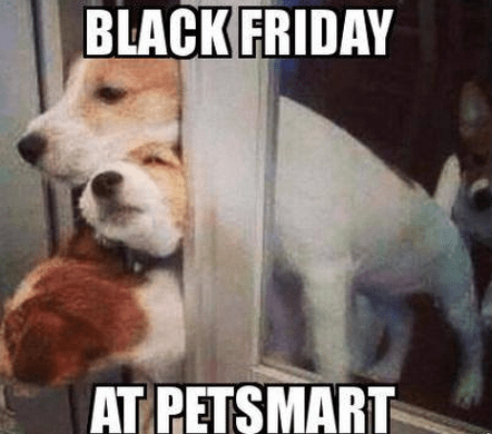 black friday