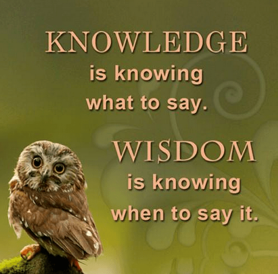 knowledge vs wisdom