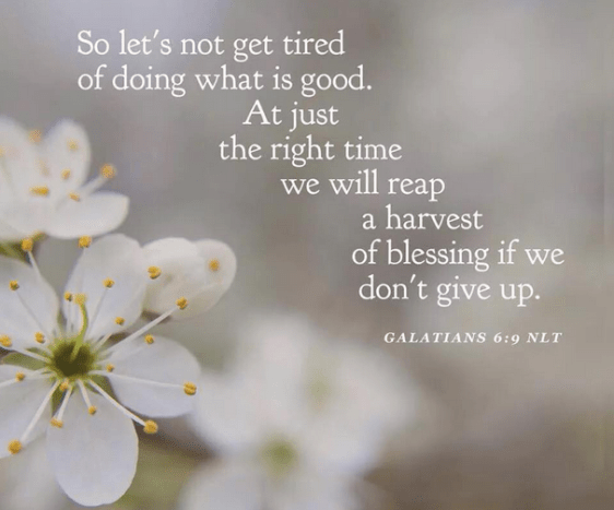 Gal 6 9