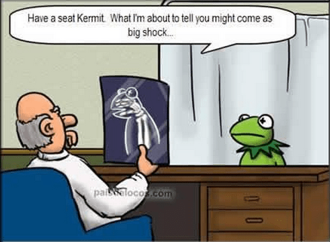 bad news kermit