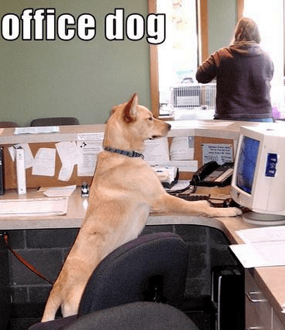 Screenshot 2015-04-07 at 9.57.19 AM