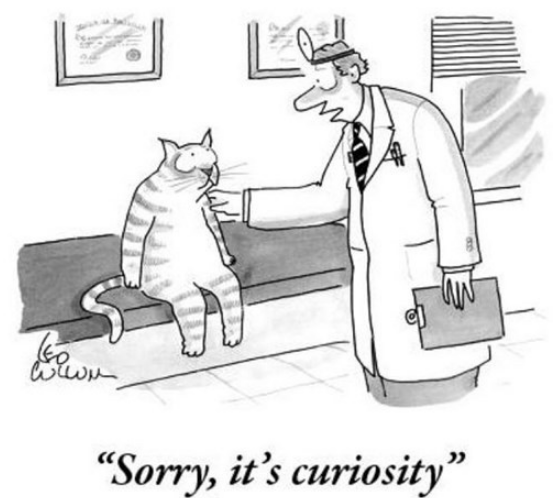 curiosity