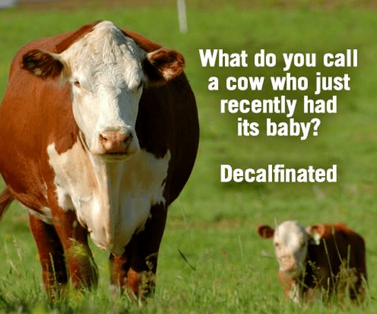 decalf