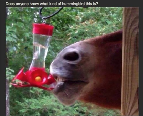 Screenshot 2015-06-26 at 9.39.56 PM