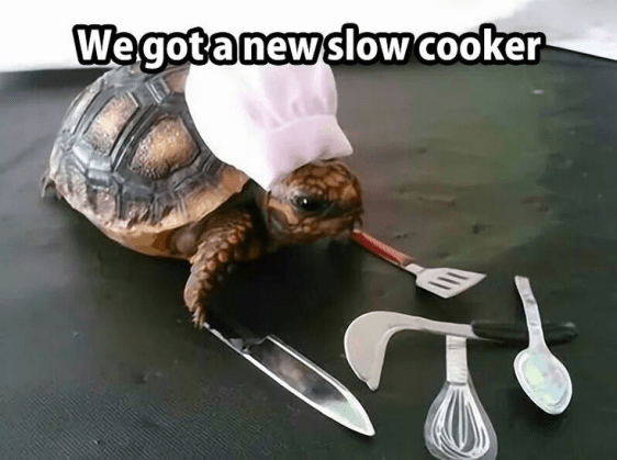 slow cooker