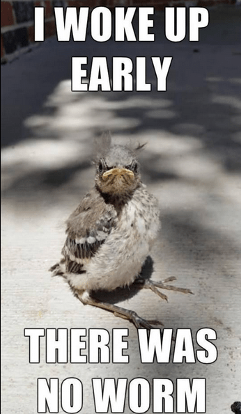 Screenshot 2015-08-03 at 8.19.40 AM