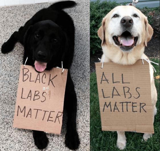 labs matter