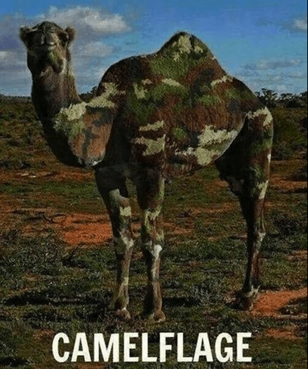 camelflage