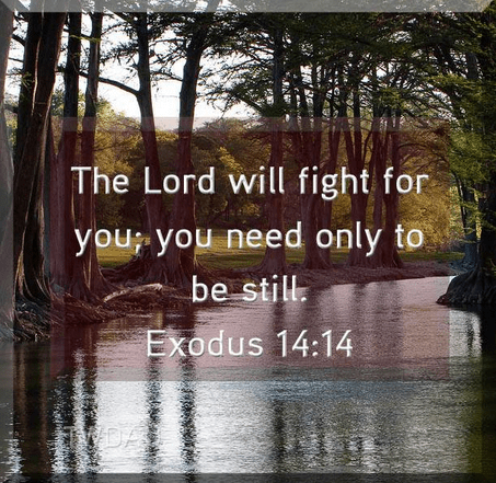 Exodus 14 14
