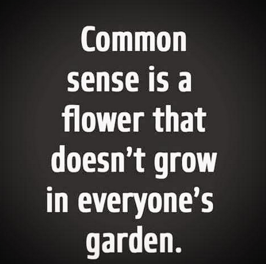 not so common sense