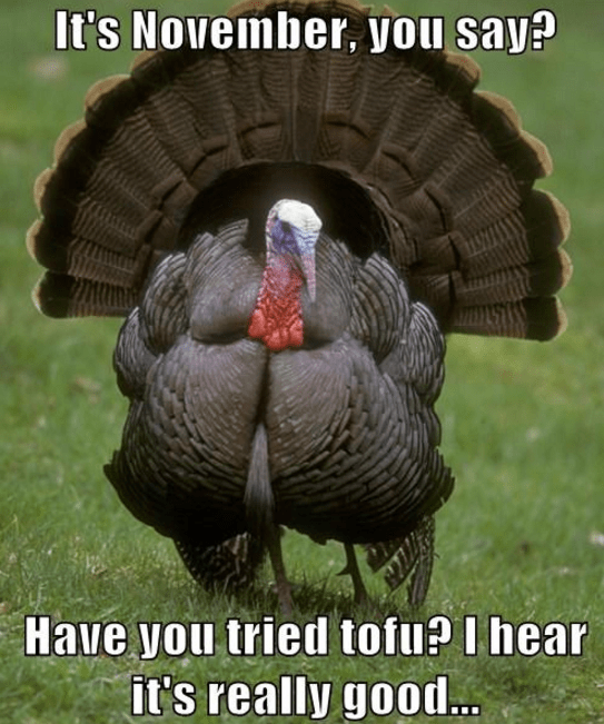 Screenshot 2015-11-06 at 10.49.23 AM