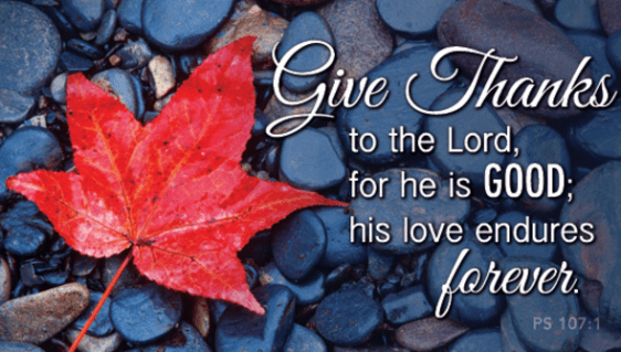 Screenshot 2015-11-06 at 10.49.45 AM