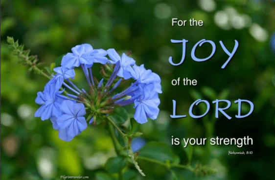 Screenshot 2015-11-08 at 3.09.55 PM